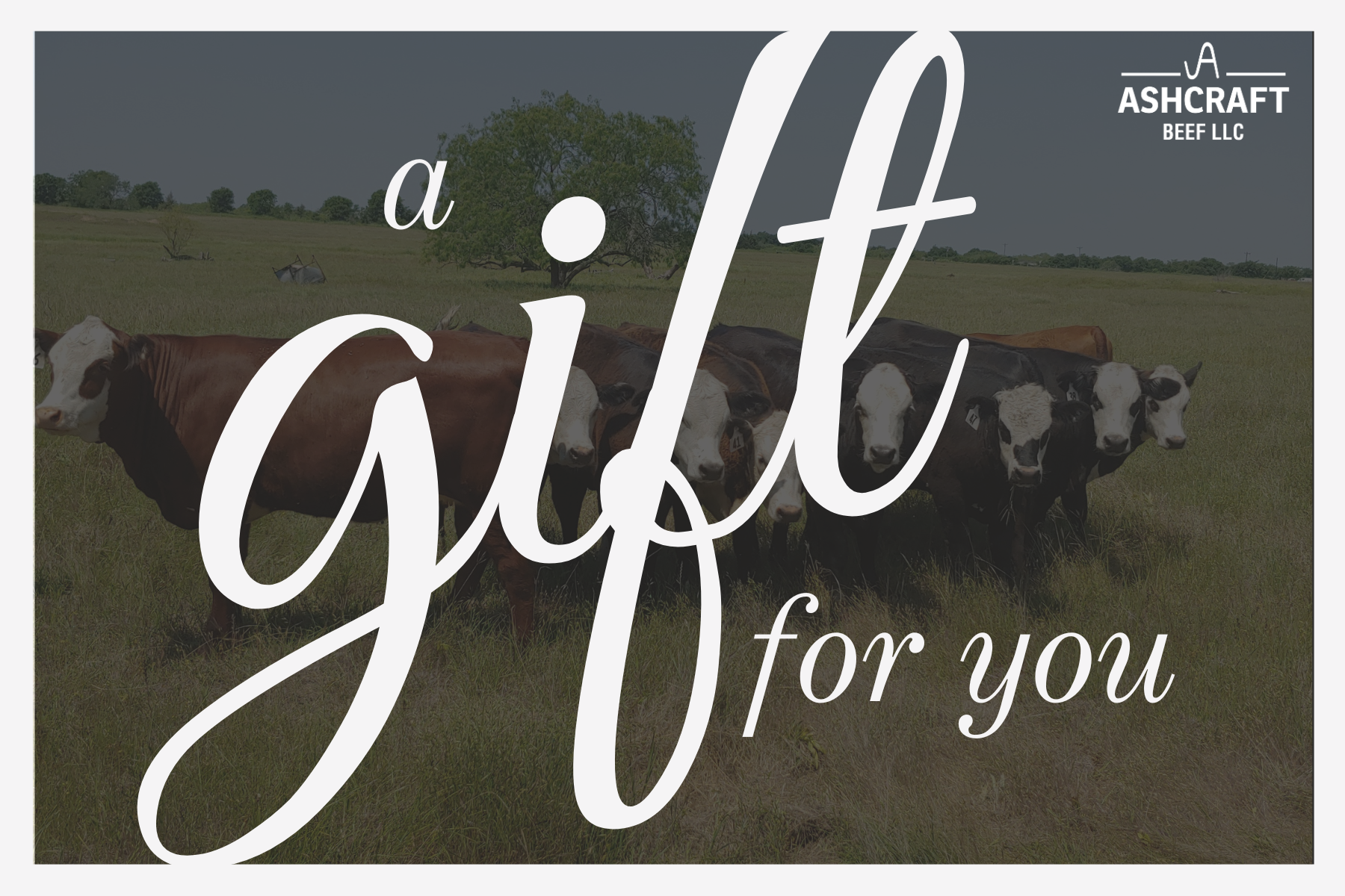 Imagen de diapositiva